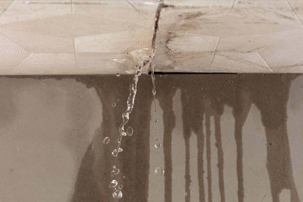 Professional Structural Drying technician working in Waldo, FL